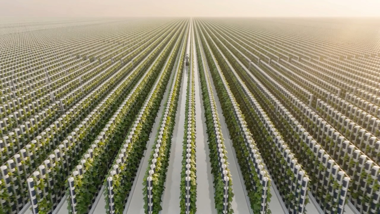 Aerial view of the Blueleaves farm and its parallel growing aisles